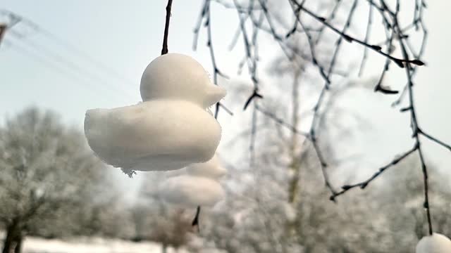 Shaped snow ducks decoration hung from bare winter tree branches