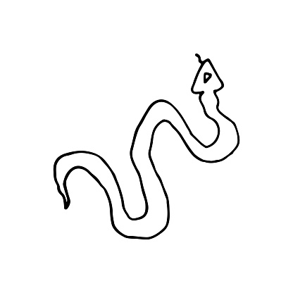 A snake, a reptile with a long, writhing body. Doodle. Vector illustration. Hand drawn. Outline.