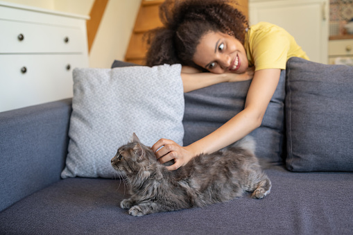 Young afro woman at home, petting  her domestic cat, which is laying on the sofa
