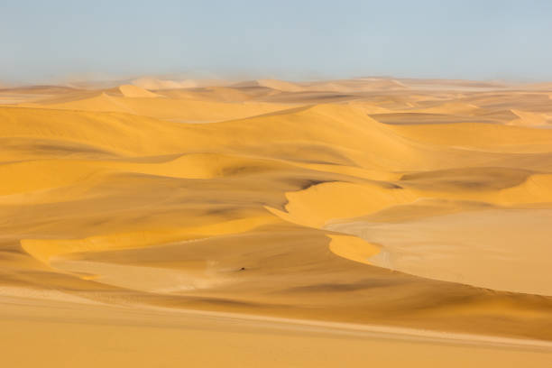istock Red sand dunes with fog on horizon, Skeleton Coast, Namibia 1972314309
