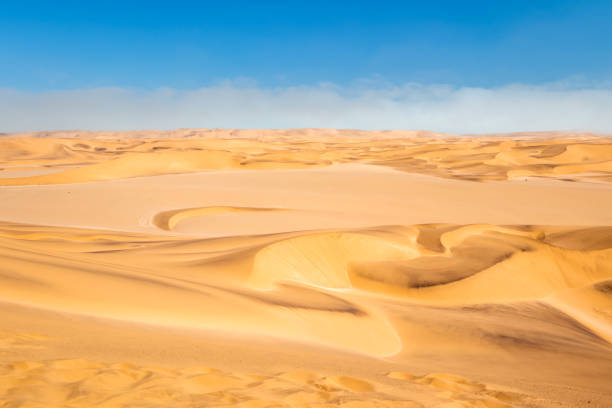 The dune ridges catch the last rays of sunlight, creating glowing borders between light and shadow