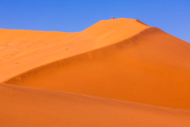 istock Red sand dunes with shadows in morning sunlight in Sossusvlei, Namibia 1972316983