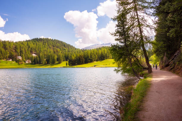 istock Walking path at Saint Moritz lake, Switzerland in summer 1972346601