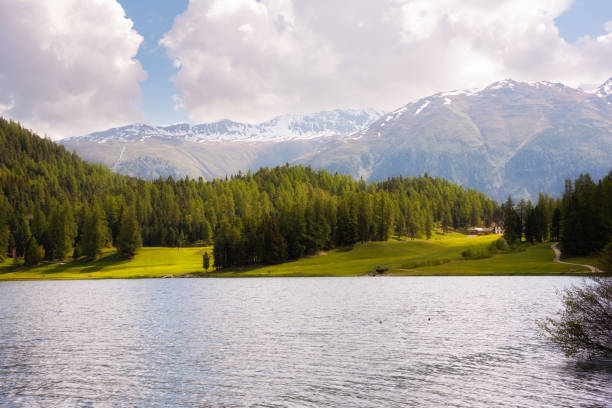 istock Saint Moritz lake in Switzerland in summer 1972349768