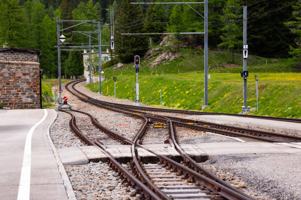 istock Many railroad tracks in summer 1972354051