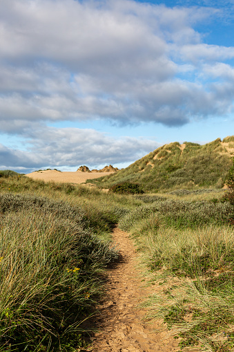 A romantic trail on a beach leads to a calm sea amid tranquility and pristine environment at sunset conveying the idea of a life journey, mission and achievement concepts. Path to success illustration