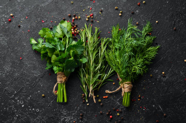 Fresh green rosemary, parsley and dill on the table. Top view.