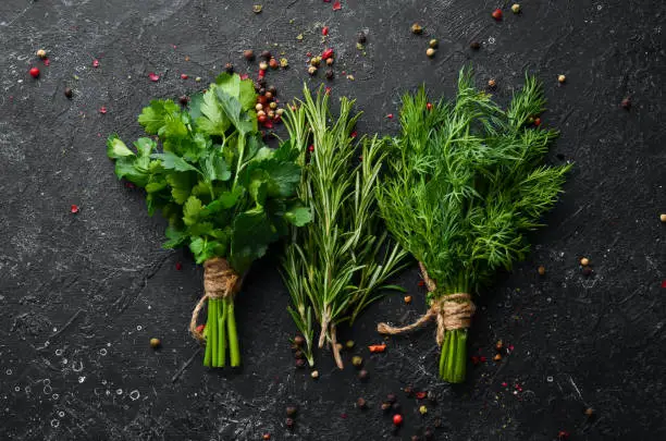 350+ Herbs Pictures | Download Free Images & Stock Photos on Unsplash