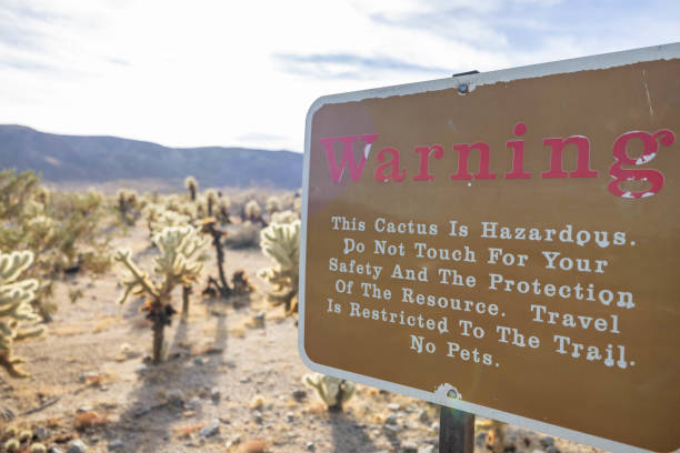 istock Caution Ahead: Enter with Care - Cactus Garden Warning Sign 1972365788