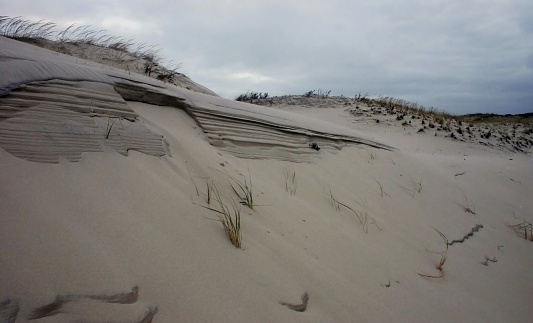 Island Beach State Park. Miles of sand dunes