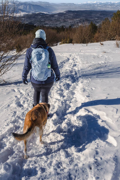 istock When you reach the snowy top, the view opens 1972380292