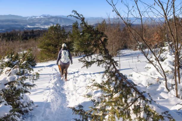istock Snow-covered hiking path on a sunny day 1972380828
