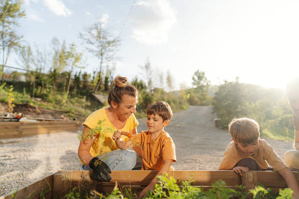 istock Family picking vegetable from their garden bed 1972381429