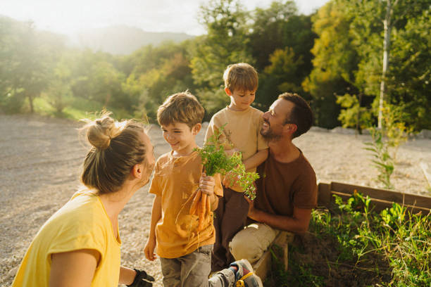 istock Family picking vegetable from their garden bed 1972381441