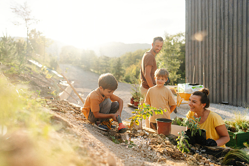 Photo of a couple and their two young boys, landscaping their backyard together