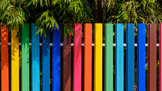 Colorful rainbow colors steel fence in front of home garden with mango and palm trees in front or backyard area of house, home DIY exterior decoration concept