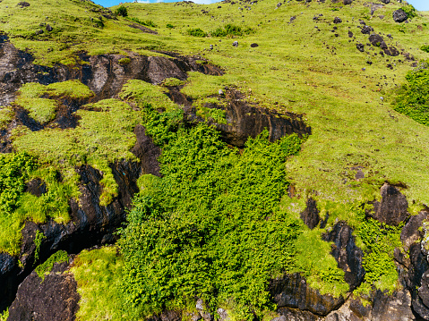Rocky terrain covered in lush greenery under a clear blue sky. The image highlights the contrast between the rugged, dark rocks and the vibrant green plants growing in and around them. Lombok island.