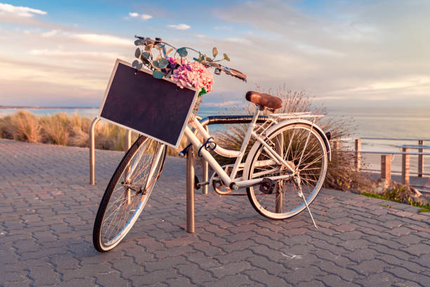 Vintage bicycle with copy space text frame on a steering wheel basket with flowers parked near the beach at sunset time