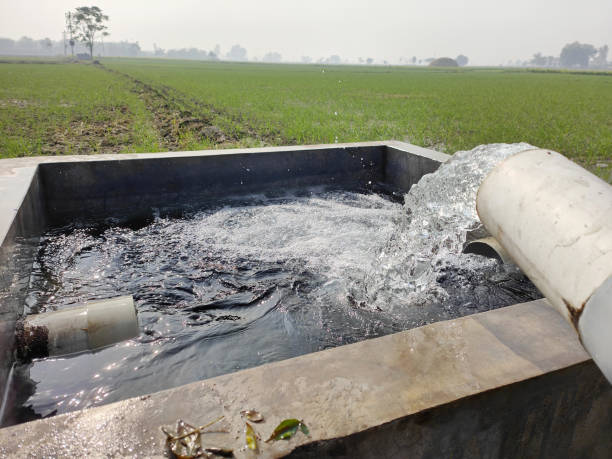 The heartbeat of agriculture resonates through an intricate water irrigation system. Here, innovation meets tradition as farmers harness the power of water to nurture their crops. Step into the heartland of Indian agriculture and witness the synergy between technology and tradition as water becomes the lifeblood of prosperity in Punjab's fields.\