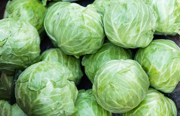 mucchio di cavoli al mercato - green cabbage foto e immagini stock