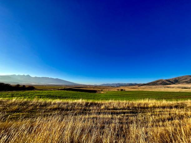 istock Scenic view of a vast, rolling landscape under the cloudless blue sky 1972586104