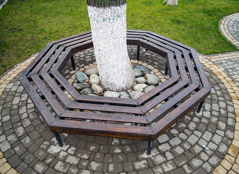 Bench encircling a tree trunk.