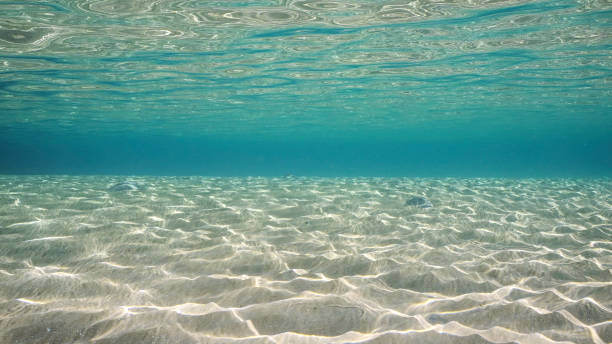 istock Sandy shallow water in sunburst and glare on seabed sand. Sunlight passes through surface of turquoise water and glares on sandy bottom in shallow water on bright sunny day, Red sea, Egypt 1972588288