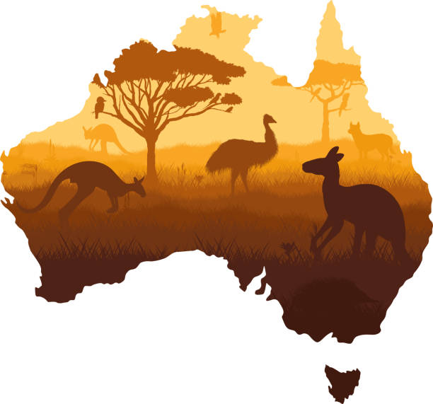 Vector map of Australia with acacia tree, kangaroo, cockatoo, dingo, echidna, galah, emu and eagle. Vector map of Australia with acacia tree, kangaroo, cockatoo, dingo, echidna, galah, emu and eagle. australia stock illustrations