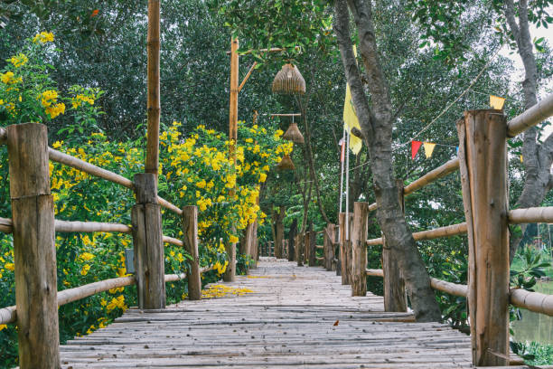 istock Bamboo bridge walkway in natural landscape outdoor 1972603722