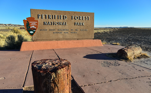 USA, Phenix, Arizona- November 17, 2019:  information sign with the name of the park Petrified Forest National Park, Arizona