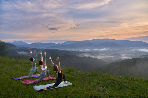Fitness young women in sport clothes doing yoga exercises among green nature. Three ladies spending free time for outdoors training.