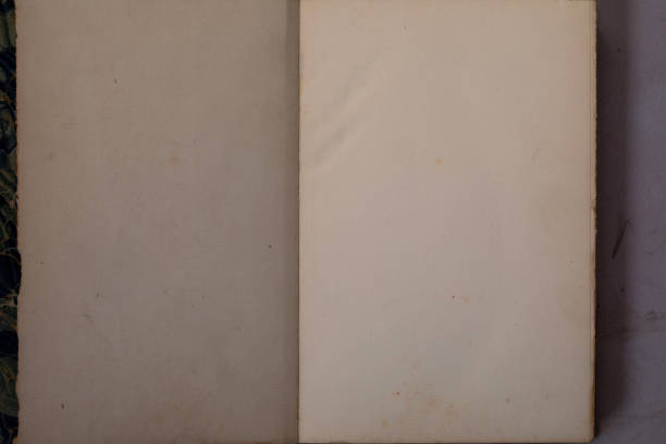 Open blank antique book with yellow pages