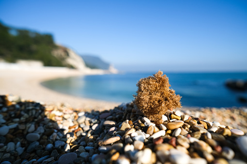 Background with white and gray stones softly rounded and washed from sea water