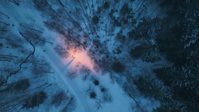 Aerial View of Snow-Covered Forest at Dusk
