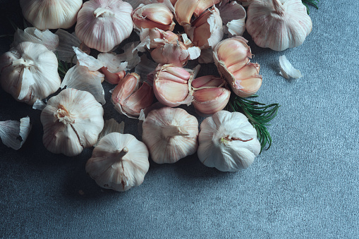 Garlic Bulbs and Cloves Composition on Dark Texture. Overhead view of garlic bulbs and individual cloves, complemented by rosemary, on a dark textured surface.