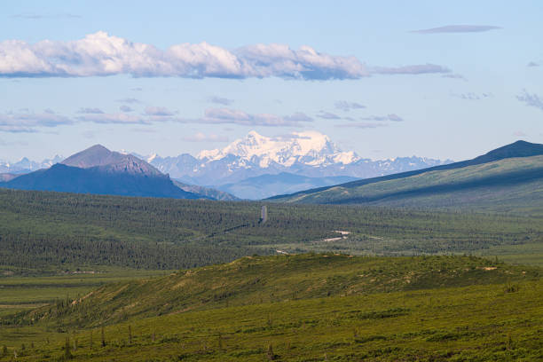 Scenic Mountains Denali, Denali National Park, Alaska. High quality photo