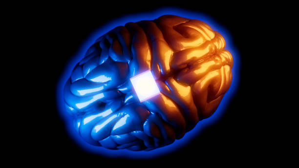 istock Link, neural link, new artificial intelligence technology that allows you to connect to the human brain. 1972759064