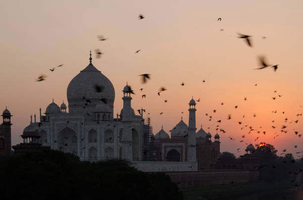 istock Taj Mahal during sunset, Agra, Uttar Pradesh, India. 1972760703
