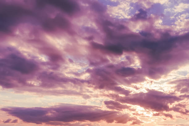 istock Dramatic sunset sky with burning purple clouds. Beautiful nature fluffy violet cloud background. 1972781403