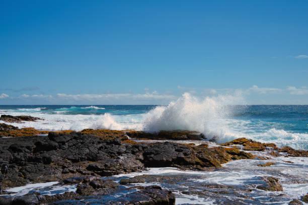 istock waves crush on rock in hawaii 1972805426
