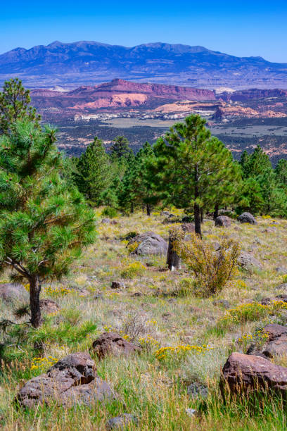 istock Larb Hollow Overlook  along Scenic Byway 12, Utah 1972809116