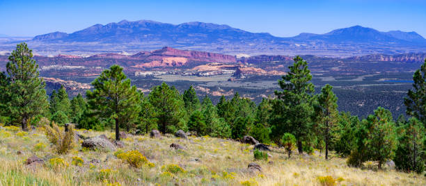 istock Larb Hollow Overlook  along Scenic Byway 12, Utah 1972809117
