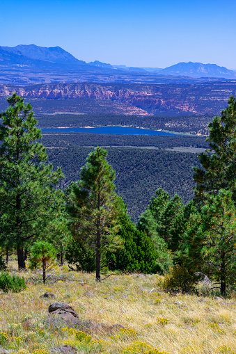Larb Hollow Overlook  along Scenic Byway 12, Utah, with Lower Bowns Reservoir in the distance