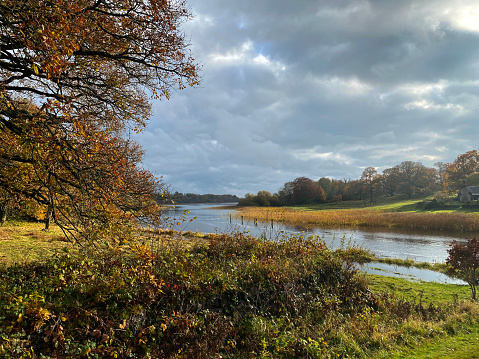 Crom, Northern Irland - 8 November 2020. Lake and river Erne in Crom Castle, Co. Fermanagh, Northern Ireland