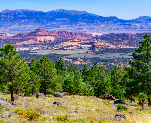 istock Larb Hollow Overlook  along Scenic Byway 12, Utah 1972813348