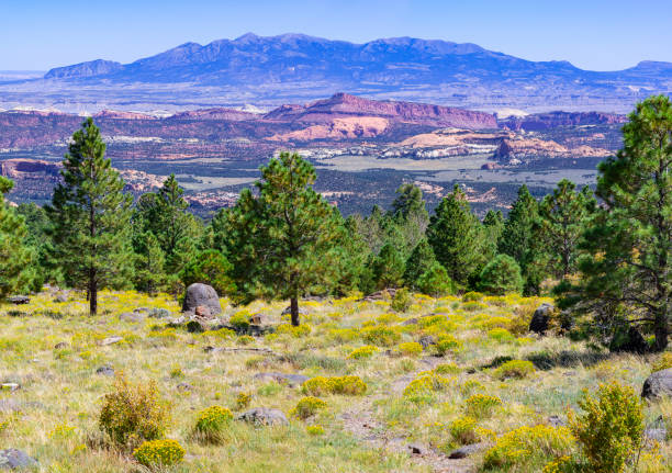 istock Larb Hollow Overlook  along Scenic Byway 12, Utah 1972813350