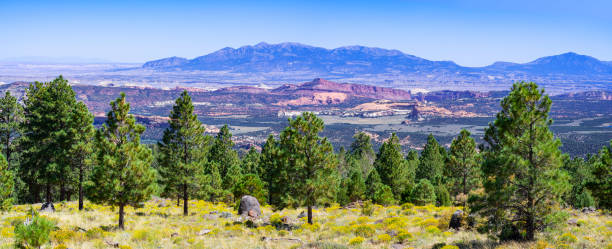 istock Larb Hollow Overlook  along Scenic Byway 12, Utah 1972813480