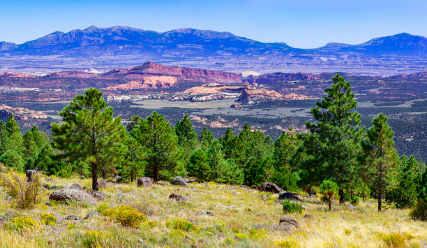 istock Larb Hollow Overlook  along Scenic Byway 12, Utah 1972813485