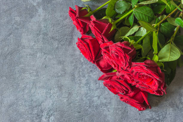 istock Valentines day greeting card template; 1972813872