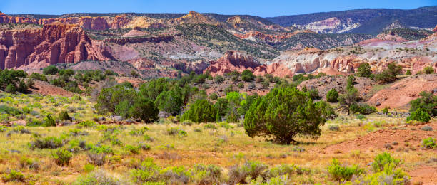 istock Road through Cliffs and Buttes in Capitol Reef National Park, Utah 1972816508